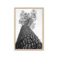 Picture of The Tree _GroupedProduct_Rectangle_Portrait_Photography _GroupedProduct_Rectangle_Portrait_Framed_Matted_