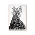 Picture of The Tree _GroupedProduct_Rectangle_Portrait_Photography _GroupedProduct_Rectangle_Portrait_Framed_Matted_