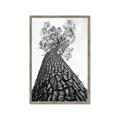 Picture of The Tree _GroupedProduct_Rectangle_Portrait_Photography _GroupedProduct_Rectangle_Portrait_Framed_Matted_