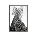 Picture of The Tree _GroupedProduct_Rectangle_Portrait_Photography _GroupedProduct_Rectangle_Portrait_Framed_Matted_