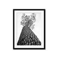 Picture of The Tree _GroupedProduct_Rectangle_Portrait_Photography _GroupedProduct_Rectangle_Portrait_Framed_Matted_