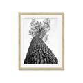 Picture of The Tree _GroupedProduct_Rectangle_Portrait_Photography _GroupedProduct_Rectangle_Portrait_Framed_Matted_