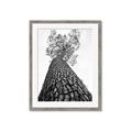 Picture of The Tree _GroupedProduct_Rectangle_Portrait_Photography _GroupedProduct_Rectangle_Portrait_Framed_Matted_