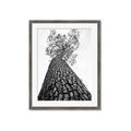 Picture of The Tree _GroupedProduct_Rectangle_Portrait_Photography _GroupedProduct_Rectangle_Portrait_Framed_Matted_