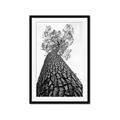 Picture of The Tree _GroupedProduct_Rectangle_Portrait_Photography _GroupedProduct_Rectangle_Portrait_Framed_Matted_