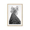 Picture of The Tree _GroupedProduct_Rectangle_Portrait_Photography _GroupedProduct_Rectangle_Portrait_Framed_Matted_