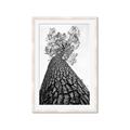 Picture of The Tree _GroupedProduct_Rectangle_Portrait_Photography _GroupedProduct_Rectangle_Portrait_Framed_Matted_