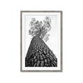 Picture of The Tree _GroupedProduct_Rectangle_Portrait_Photography _GroupedProduct_Rectangle_Portrait_Framed_Matted_