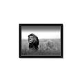 Picture of The Lion King _GroupedProduct_Rectangle_Landscape_Photography _GroupedProduct_Rectangle_Landscape_Framed_Matted_