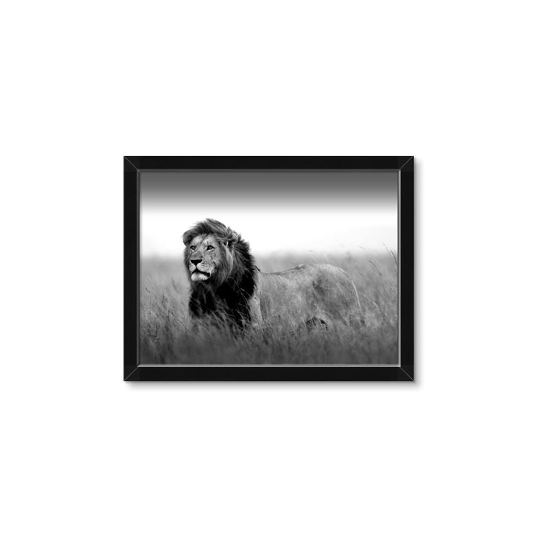Picture of The Lion King _GroupedProduct_Rectangle_Landscape_Photography _GroupedProduct_Rectangle_Landscape_Framed_Matted_