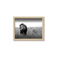Picture of The Lion King _GroupedProduct_Rectangle_Landscape_Photography _GroupedProduct_Rectangle_Landscape_Framed_Matted_