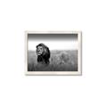 Picture of The Lion King _GroupedProduct_Rectangle_Landscape_Photography _GroupedProduct_Rectangle_Landscape_Framed_Matted_