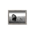 Picture of The Lion King _GroupedProduct_Rectangle_Landscape_Photography _GroupedProduct_Rectangle_Landscape_Framed_Matted_