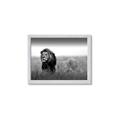 Picture of The Lion King _GroupedProduct_Rectangle_Landscape_Photography _GroupedProduct_Rectangle_Landscape_Framed_Matted_