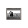 Picture of The Lion King _GroupedProduct_Rectangle_Landscape_Photography _GroupedProduct_Rectangle_Landscape_Framed_Matted_