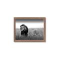 Picture of The Lion King _GroupedProduct_Rectangle_Landscape_Photography _GroupedProduct_Rectangle_Landscape_Framed_Matted_
