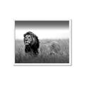 Picture of The Lion King _GroupedProduct_Rectangle_Landscape_Photography _GroupedProduct_Rectangle_Landscape_Framed_Matted_