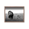 Picture of The Lion King _GroupedProduct_Rectangle_Landscape_Photography _GroupedProduct_Rectangle_Landscape_Framed_Matted_