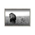 Picture of The Lion King _GroupedProduct_Rectangle_Landscape_Photography _GroupedProduct_Rectangle_Landscape_Framed_Matted_