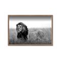 Picture of The Lion King _GroupedProduct_Rectangle_Landscape_Photography _GroupedProduct_Rectangle_Landscape_Framed_Matted_