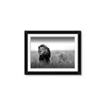 Picture of The Lion King _GroupedProduct_Rectangle_Landscape_Photography _GroupedProduct_Rectangle_Landscape_Framed_Matted_