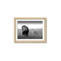 Picture of The Lion King _GroupedProduct_Rectangle_Landscape_Photography _GroupedProduct_Rectangle_Landscape_Framed_Matted_