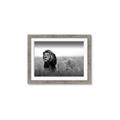 Picture of The Lion King _GroupedProduct_Rectangle_Landscape_Photography _GroupedProduct_Rectangle_Landscape_Framed_Matted_