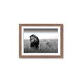 Picture of The Lion King _GroupedProduct_Rectangle_Landscape_Photography _GroupedProduct_Rectangle_Landscape_Framed_Matted_