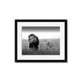 Picture of The Lion King _GroupedProduct_Rectangle_Landscape_Photography _GroupedProduct_Rectangle_Landscape_Framed_Matted_