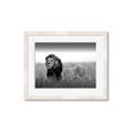 Picture of The Lion King _GroupedProduct_Rectangle_Landscape_Photography _GroupedProduct_Rectangle_Landscape_Framed_Matted_