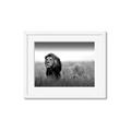 Picture of The Lion King _GroupedProduct_Rectangle_Landscape_Photography _GroupedProduct_Rectangle_Landscape_Framed_Matted_