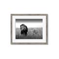 Picture of The Lion King _GroupedProduct_Rectangle_Landscape_Photography _GroupedProduct_Rectangle_Landscape_Framed_Matted_