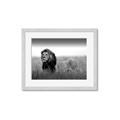 Picture of The Lion King _GroupedProduct_Rectangle_Landscape_Photography _GroupedProduct_Rectangle_Landscape_Framed_Matted_