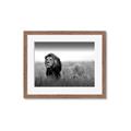 Picture of The Lion King _GroupedProduct_Rectangle_Landscape_Photography _GroupedProduct_Rectangle_Landscape_Framed_Matted_