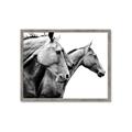 Picture of Brothers _GroupedProduct_Rectangle_Landscape_Photography _GroupedProduct_Rectangle_Landscape_Framed_Matted_
