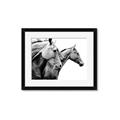 Picture of Brothers _GroupedProduct_Rectangle_Landscape_Photography _GroupedProduct_Rectangle_Landscape_Framed_Matted_
