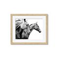 Picture of Brothers _GroupedProduct_Rectangle_Landscape_Photography _GroupedProduct_Rectangle_Landscape_Framed_Matted_