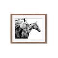 Picture of Brothers _GroupedProduct_Rectangle_Landscape_Photography _GroupedProduct_Rectangle_Landscape_Framed_Matted_