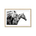 Picture of Brothers _GroupedProduct_Rectangle_Landscape_Photography _GroupedProduct_Rectangle_Landscape_Framed_Matted_