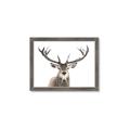 Picture of Deer Antler _GroupedProduct_Rectangle_Landscape_Photography _GroupedProduct_Rectangle_Landscape_Framed_Matted_