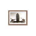 Picture of Plane of Yester Year _GroupedProduct_Rectangle_Landscape_Photography _GroupedProduct_Rectangle_Landscape_Framed_Matted_