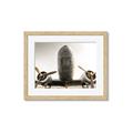 Picture of Plane of Yester Year _GroupedProduct_Rectangle_Landscape_Photography _GroupedProduct_Rectangle_Landscape_Framed_Matted_