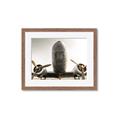 Picture of Plane of Yester Year _GroupedProduct_Rectangle_Landscape_Photography _GroupedProduct_Rectangle_Landscape_Framed_Matted_