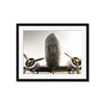Picture of Plane of Yester Year _GroupedProduct_Rectangle_Landscape_Photography _GroupedProduct_Rectangle_Landscape_Framed_Matted_