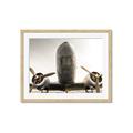 Picture of Plane of Yester Year _GroupedProduct_Rectangle_Landscape_Photography _GroupedProduct_Rectangle_Landscape_Framed_Matted_