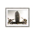 Picture of Plane of Yester Year _GroupedProduct_Rectangle_Landscape_Photography _GroupedProduct_Rectangle_Landscape_Framed_Matted_