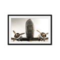 Picture of Plane of Yester Year _GroupedProduct_Rectangle_Landscape_Photography _GroupedProduct_Rectangle_Landscape_Framed_Matted_