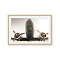 Picture of Plane of Yester Year _GroupedProduct_Rectangle_Landscape_Photography _GroupedProduct_Rectangle_Landscape_Framed_Matted_