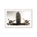 Picture of Plane of Yester Year _GroupedProduct_Rectangle_Landscape_Photography _GroupedProduct_Rectangle_Landscape_Framed_Matted_
