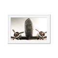Picture of Plane of Yester Year _GroupedProduct_Rectangle_Landscape_Photography _GroupedProduct_Rectangle_Landscape_Framed_Matted_